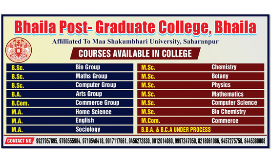 Video Image